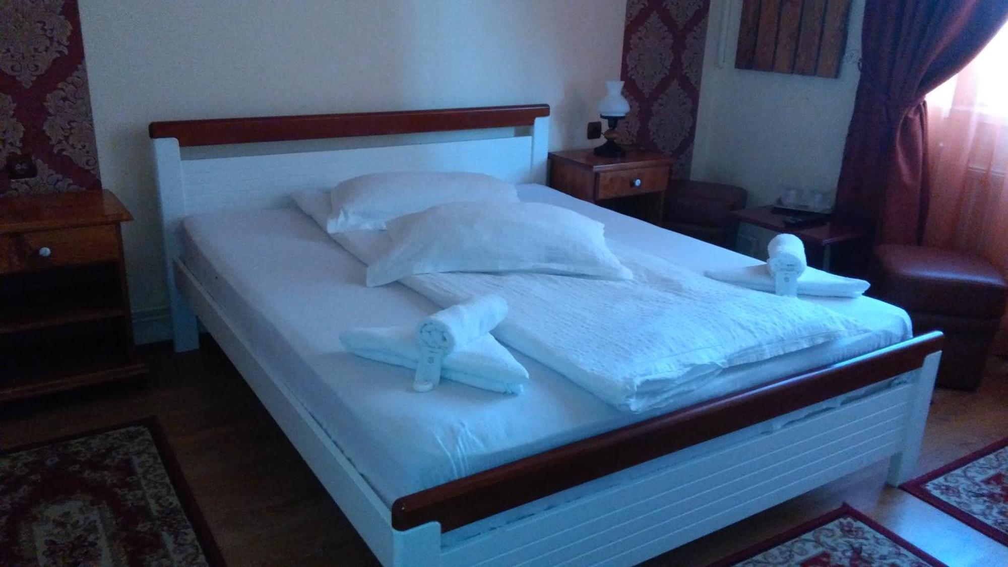 Vila Nicoleta Hotel Sibiu Exterior photo