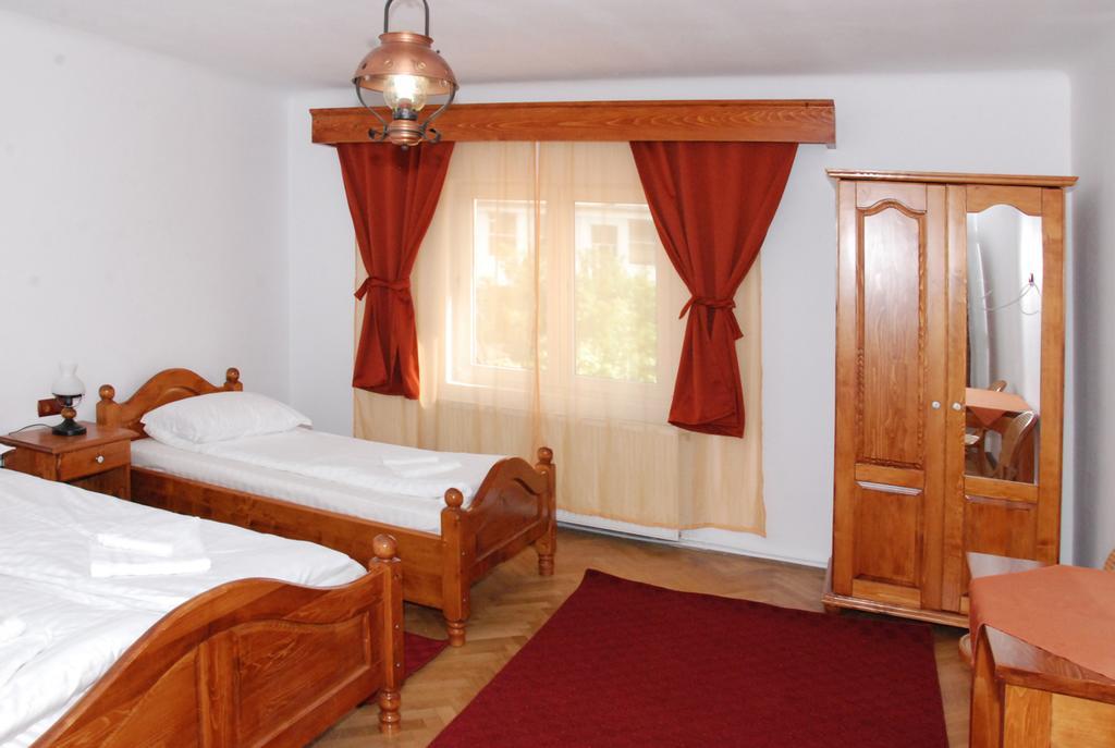 Vila Nicoleta Hotel Sibiu Exterior photo